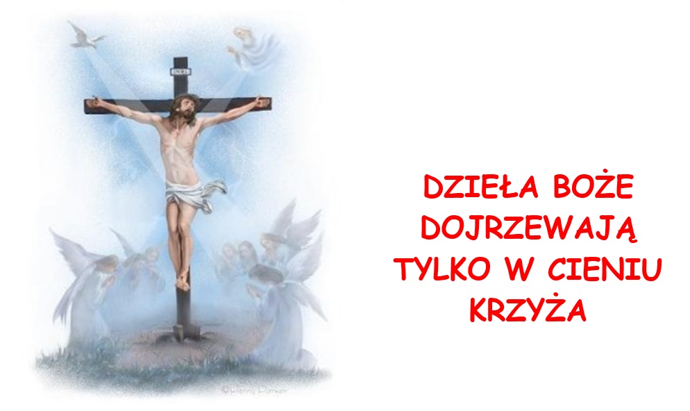 Bez tytułu