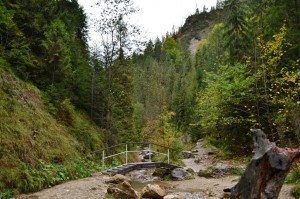 pieniny-wawoz-homole-10
